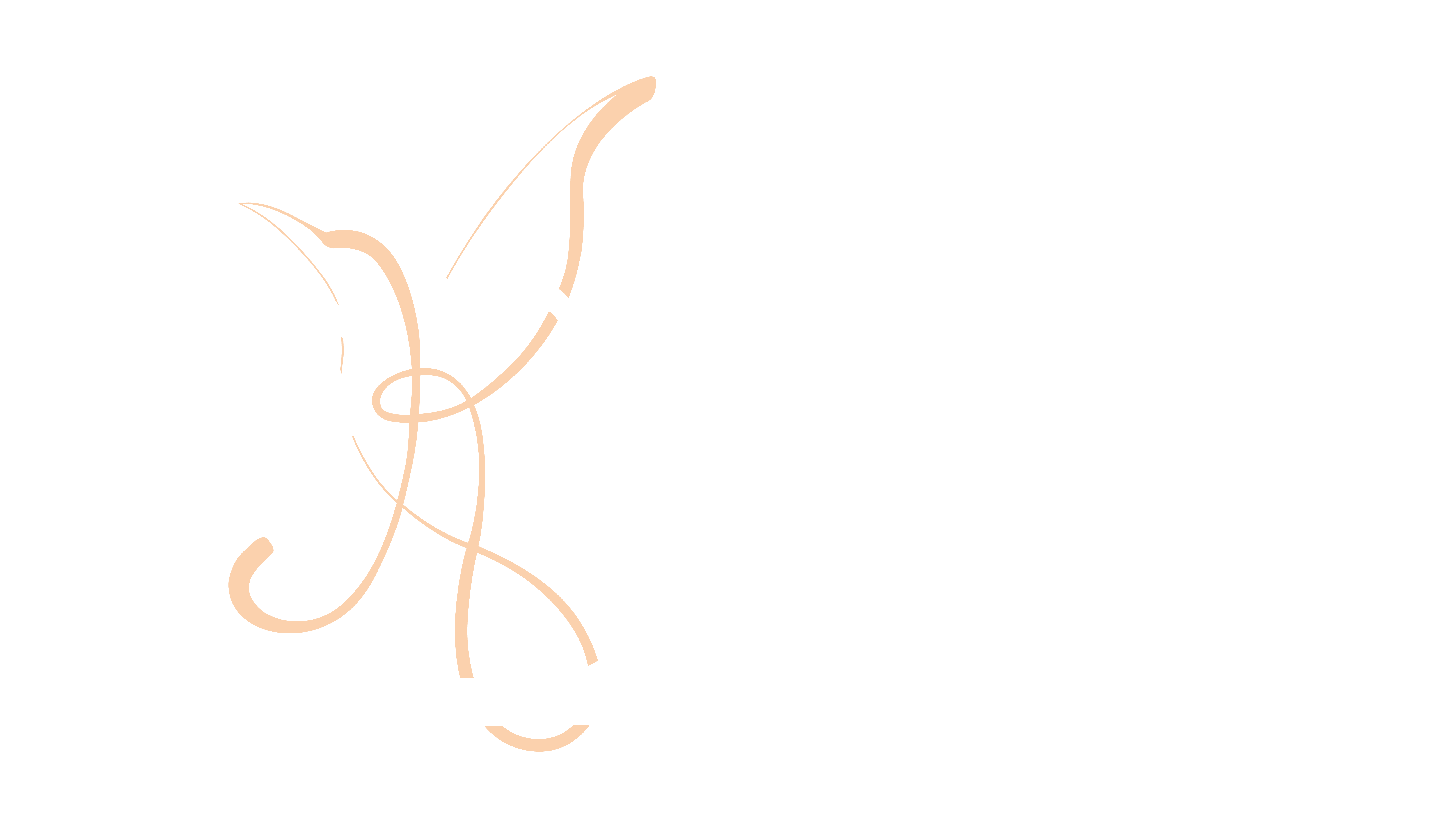 PK_LOGO+BASELINE_BLANC_CMJN_PNG